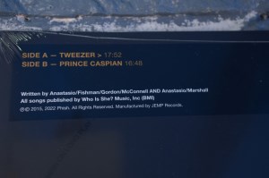 LP on LP 03- Tweezer - Prince Caspian 8-22-15 (05)